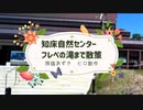 2021/06/03放送【62日目 北海道 知床自然センター 絶景！フレペの滝へ ヒロ散歩】北海道全市町村制覇するまで帰れまてん！　猫と車中泊の旅　日本縦断【旅猫あずき～保護猫から旅猫へ～】