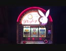 【パチスロ】PLAYBOY LE 設定6の白うさぎ。 違和感、わかりますか？　part3　実機配信（喋りあり）