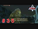 涙もろい配信者のゼルダの伝説トワイライトプリンセス　Part３5