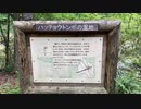 【 自然観察 】おおの自然観察の森(3）〜山野草を見ながら八丁蜻蛉の湿地へ
