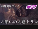 【少年と巨獣が紡ぐ、新たなる神話】人喰いの大鷲トリコ　＃27