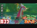 かつて少年だったおじさんカメラマンが懐かしみながらNewポケモンスナップpart13【実況】