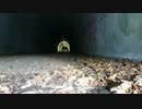 【心霊スポット】※マニア向け※　小峰トンネルでのクリパの定点カメラ映像 part.4【東京都】