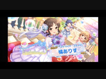 ﾊﾟｰﾌｪｸﾄﾌﾞﾗｲﾀﾞﾙありすが弊事務所に来るまで