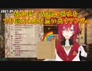 【嘔吐】配信終了間際に嘔吐をブチ撒けた話を思い出すアンジュ【にじさんじ切り抜き】