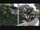 Big Homogaki