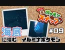 博士に見せられる写真がありません【Newポケモンスナップ】#9