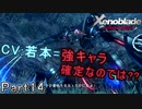 【広大な空と大地を冒険】ゼノブレイド・DE【初見実況】Part14