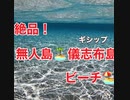 無人島のビーチ•沖縄慶良間諸島-05 9 08 29