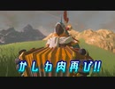 【実況】ゼルダの伝説 BREATH OF THE WILD　Part79【初見】