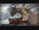 【モンハンライズ】継承武器、防具縛りで上位大型モンスター全部狩る！！　＃20