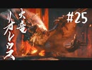 【女性実況】相も変わらず弓使いがひと狩り行くぜ！【MHR】#25
