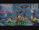 【MHRise】チャアク防具なし縛り実況『百竜ノ淵源～亀との出会い～』【48】