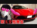 フ◯ラ千オに緊玉変態発生。。。