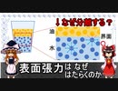 表面張力はなぜはたらくのか【ゆっくり解説】