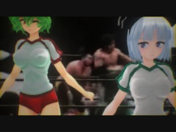 十三回忌のスパルタンX
