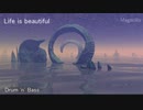 『Life is beautiful』　Drum 'n' Bass　NNI