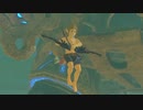 依頼を受けて、待機中の神獣にＷＢで突っ込んでポーズをとってみた