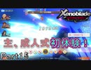 【広大な空と大地を冒険】ゼノブレイド・DE【初見実況】Part15