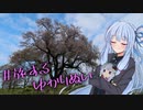 葵ちゃんとV-Stromでツーリング　～ #旅するゆかりぬい ～
