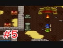 【実況】勇者の血を引き継いでいたので冒険してみた DQ2【part5】