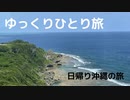 【ゆっくり】ひとり旅 弾丸日帰り沖縄旅