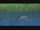 【PS4】夢の世界を旅するKHFM【プレイ動画】part23