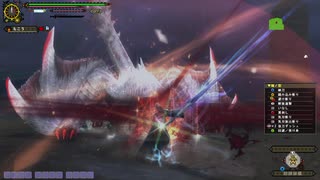 【MHF-Z】極み駆けるナルガクルガ 太刀 餓狼 6分18秒33 (6ラスタ)