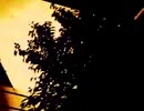 celluloid 歌ってみた 【翔悟】