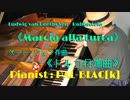 【クラシック】ベートーヴェンのトルコ行進曲を弾いてみた【ピアノ】