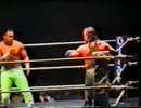 ２コールド・スコーピオ VS フィット・フィンレー 95年12月15日 ドイツ