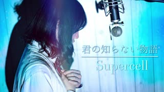 【女子高生が歌ってみた】君の知らない物語/supercell-LUV@CID REMIX feat.Hinata-