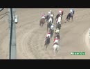 【芒種特選C2】ゴルシ産駒・ホウオウマライアの追込