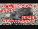 【釣り動画】人生初！巨大コウイカが釣れる瞬間！イカ釣り遠征！23cmキスも釣れたよ！