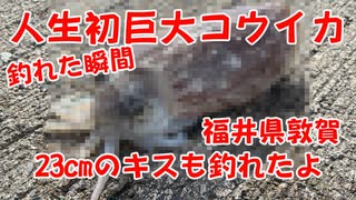 【釣り動画】人生初！巨大コウイカが釣れる瞬間！イカ釣り遠征！23cmキスも釣れたよ！