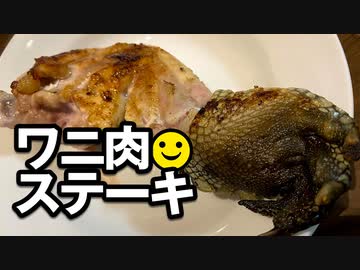 人気の 動物 ワニ 動画 185本 ニコニコ動画