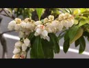 無条件の波動４０６　～愛の波動を感じて～