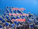 パウダーブルーサージョンフィッシュ・モルディブダイビング