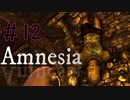 逆さ吊りの刑は裸でやるものです【Amnesia-The Dark Descent-】＃12