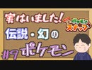 伝説・幻ポケモンと出会う　「Newポケモンスナップ」　＃9