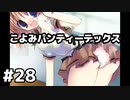 こよみパンティーテックス【NOeSIS】＃28