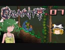 【ゆっくり実況】この厄災の只中で part07【Terraria Calamity&Spirit】