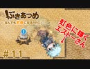 ブットビスギテ＝クサハエル「ぶきあつめ」を2人でコラボ実況プレイ part11【なんでも武器になるRPG】