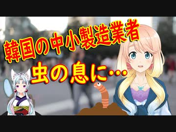 韓国の中小製造業者が虫の息に…【世界の〇〇にゅーす】