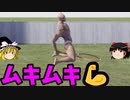 【ゆっくり実況】筋肉横スクロールテニス「IT TAKES THE BALL」
