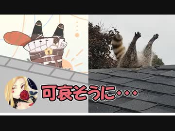 ラトナ・プティ、屋根に刺さる