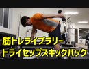 【筋トレライブラリー】トライセップスキックバック