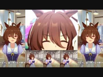 アグネスタキオンのグルメレース