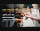 A personal dog trainer's tip in choosing your dog house