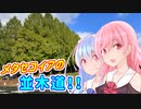 ことのはGoToドライブ　〜 メタセコイアの並木道 〜【VOICEROID車載・CeVIO車載】
